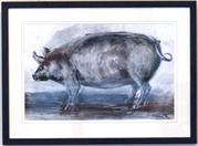 Hillary Archer - Pig Iron - pencil